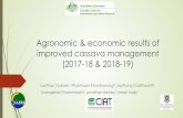Agronomic & economic results of improved cassava ...