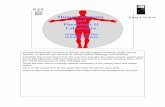 Urinary System - Class Videos for Anatomy and