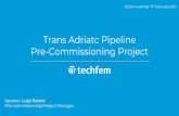 Trans Adriatc Pipeline Pre-Commissioning Project