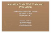 Marcellus Shale Well Costs and Production