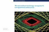 Transforming expert organizations - McKinsey