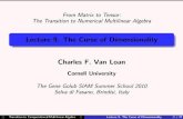 Lecture 9. The Curse of Dimensionality