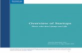 Overview of Startups - ReHuCap