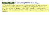 Example 20.1 Losing Weight the Hard Way - SKKU