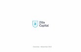 Zilla Capital Company Profile September 2021