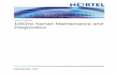 1002rp Server Maintenance and Diagnostics