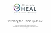 The Opioid Epidemic - .NET Framework