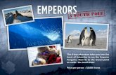 heart of Antarctica to see the Emperor on earth - the ...