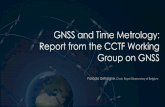 GNSS and Time Metrology: Report from the CCTF Working ...