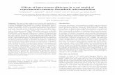 Effects of intravenous diltiazem in a rat model of ...