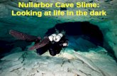 Nullarbor Cave Slime: Looking at life in the dark