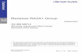 Renesas RA2A1 Group Datasheet