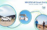 NM EPSCoR Smart Grid