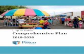 City of Pasco Comprehensive Plan