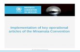 Implementation of key operational articles of the Minamata ...
