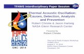 Thermal Acoustic Oscillation: Causes, Detection, Analysis ...
