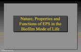 Nature, Properties and Functions of EPS in the Biofilm ...