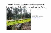 From Bad to Worst: Global Demand Impacts on Palm Oil, an ...