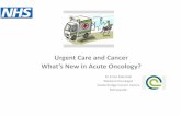 What’s New in Acute Oncology?
