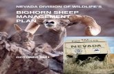 Bighorn Sheep Management Plan - Nevada Department of Wildlife