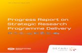 Progress Report on Strategic Research Programme Delivery