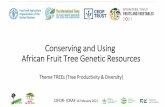Conserving and Using African Fruit Tree Genetic Resources