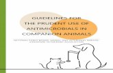 GUIDELINES FOR THE PRUDENT USE OF ANTIMICROBIALS IN ...