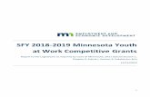 SFY 2018-2019 Minnesota Youth at Work Competitive Grants