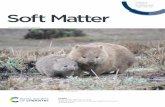 Volume 17 21 January 2021 Soft Matter - gatech.edu