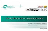 複製 -MERRY Company Profile201203