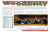 Cub Scouts compete in 2014 Pinewood Derby - Woodbury Gazette