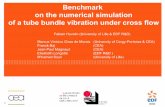 Benchmark on the numerical simulation of a tube bundle ...