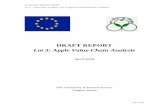 DRAFT REPORT Lot 3: Apple Value Chain Analysis
