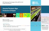 Attached Periphytic Algae Production and Analysis