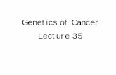 Genetics of Cancer Lecture 35 - MIT