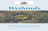 Habitat Discovery Series Wetlands - Aldo Leopold