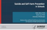 Suicide and Self-Harm Prevention in Schools