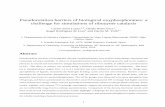 Pseudorotation barriers of biological oxyphosphoranes: a ...
