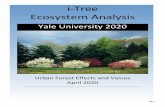i-Tree Ecosystem Analysis - Yale University