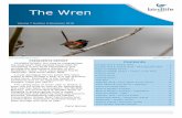 The Wren - BirdLife