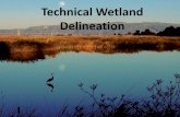 Technical Wetland Delineation