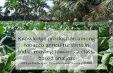 Knowledge)produc.on)among) tobacco)agriculturalists)in ...