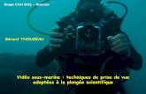 Vidéo sous-marine : techniques de prise de vue adaptées à ...