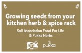 Growing seeds from your kitchen herb & spice rack