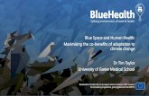 Blue Space and Human Health: Maximising the co-benefits of ...