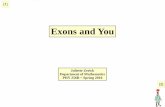 Exons and You