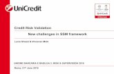 Credit Risk Validation New challenges in SSM framework