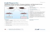 TRIM28 Represses Transcription of Endogenous Retroviruses ...