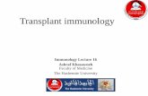 Immunology Lecture 16 Ashraf Khasawneh Faculty of Medicine ...