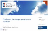 Challenges for storage operation and valuation